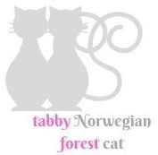 Norwegian Forest Cat