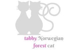 Norwegian Forest Cat